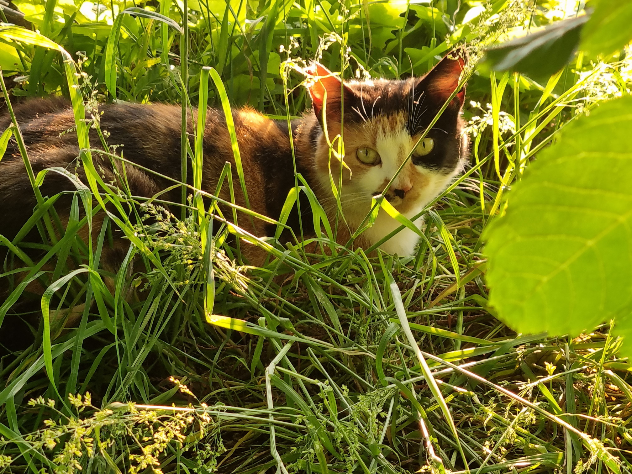 20210616_203433 - Kopie.jpg