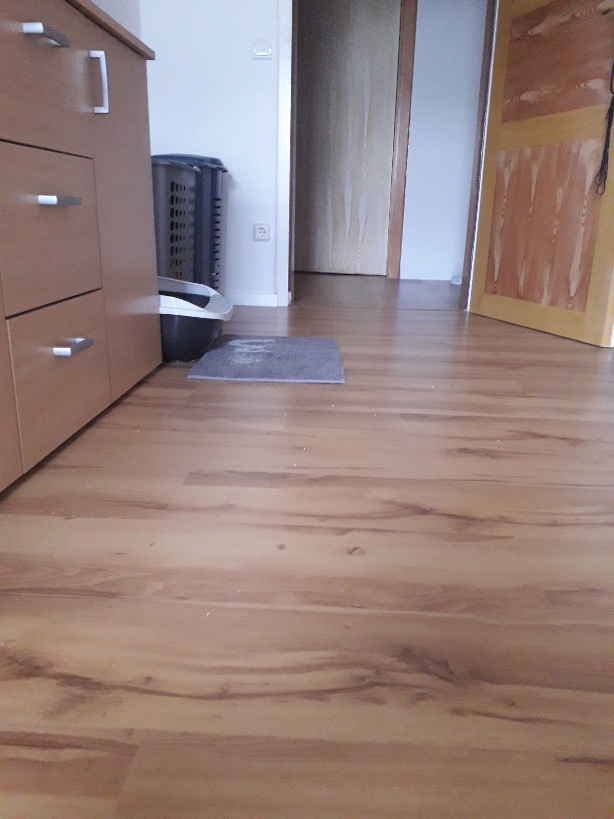 20210718_195124.jpg