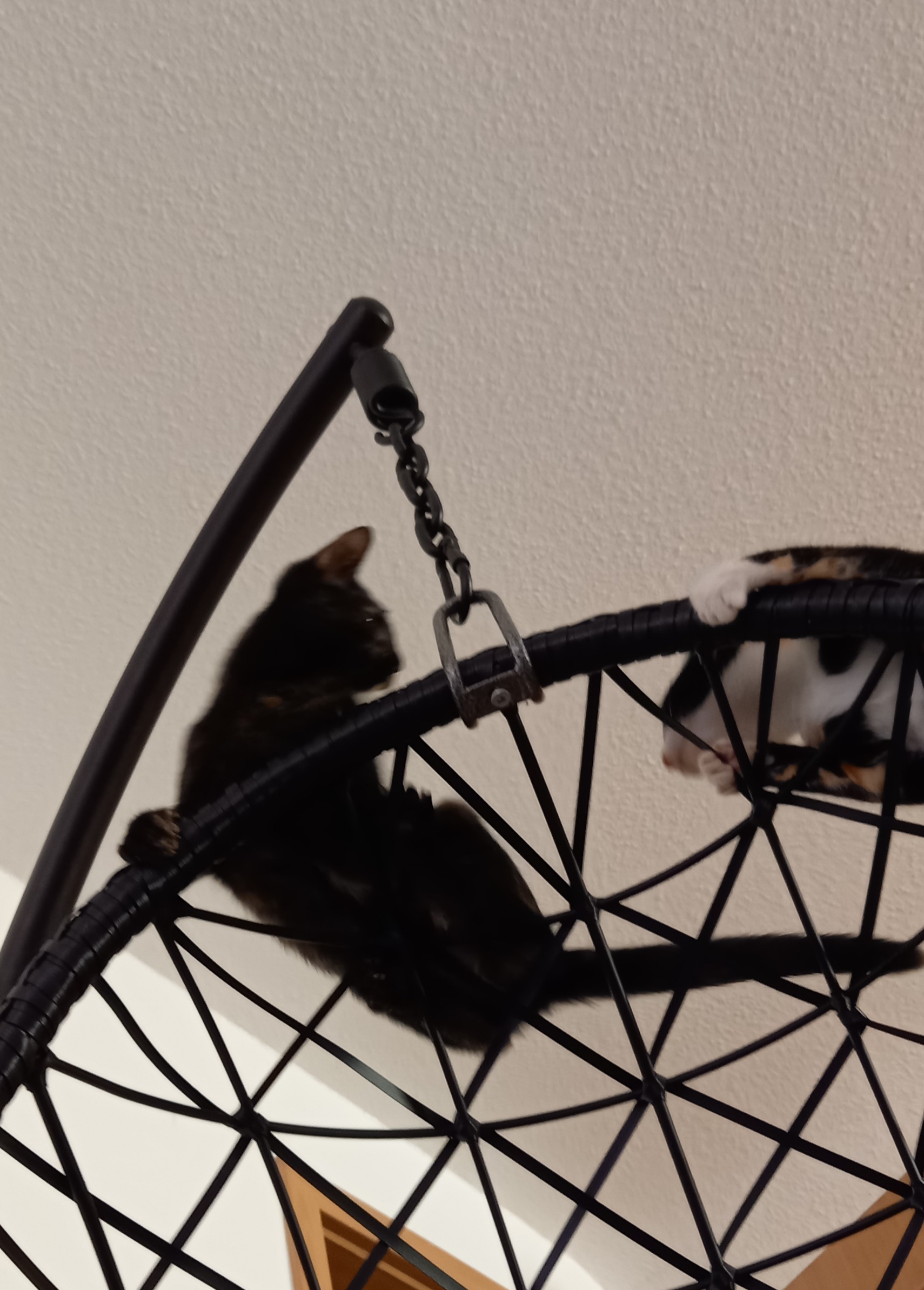 20210729_173840.jpg