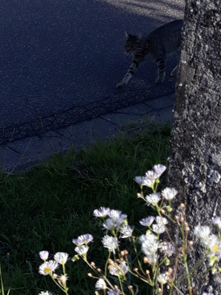 20210809_141017.jpg