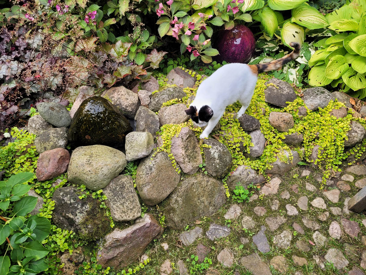 20210813_172914kl.jpg
