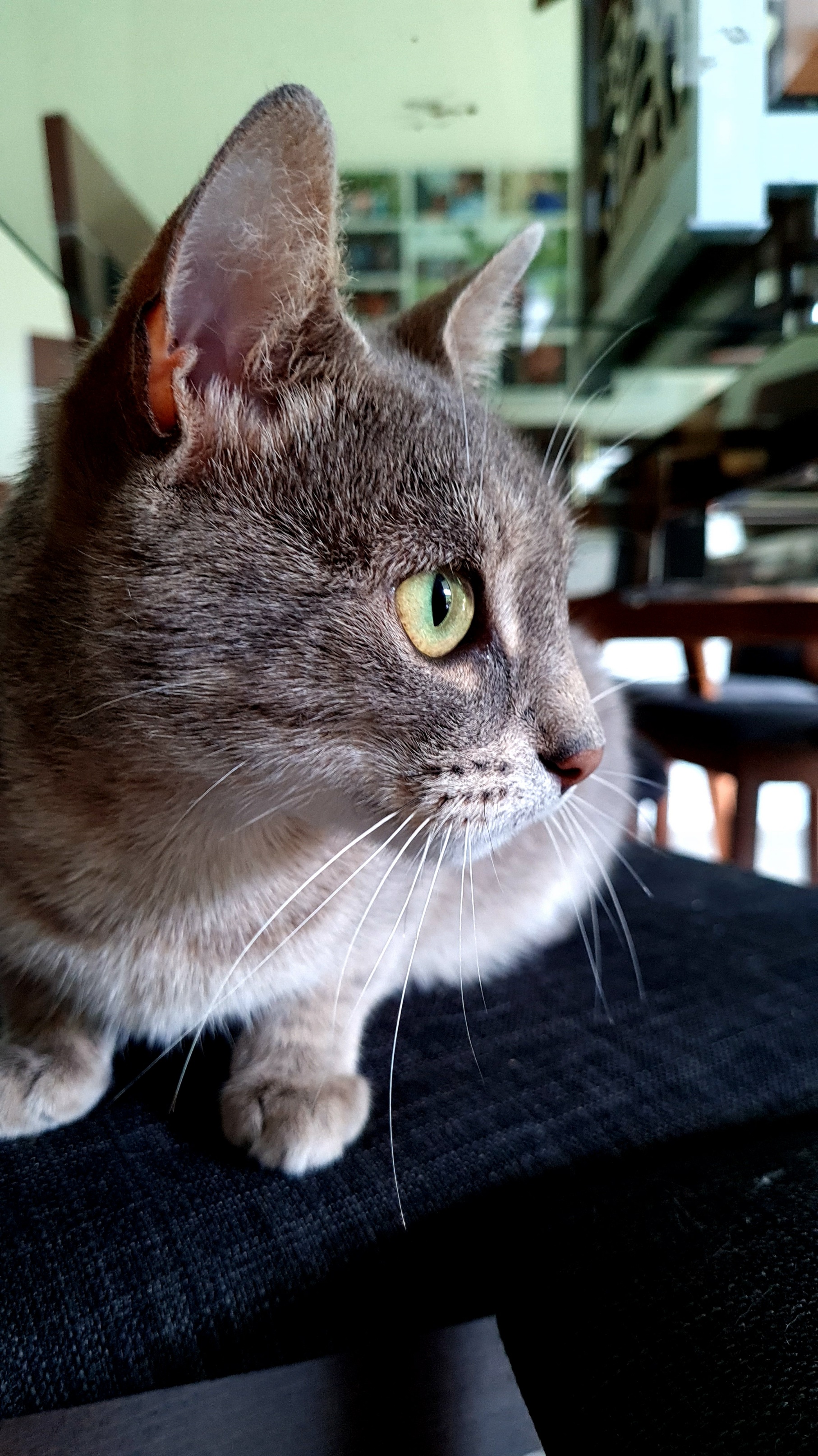 20210821_093334.jpg
