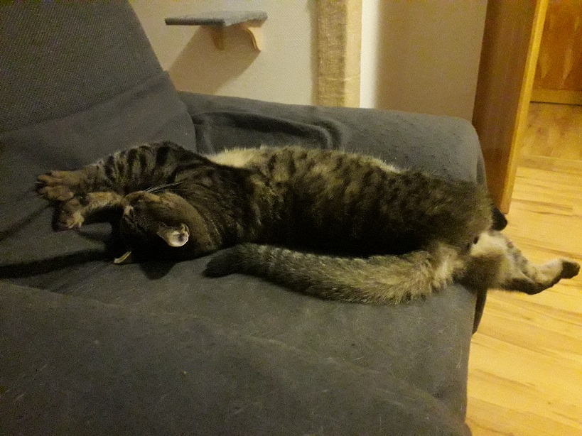 20210829_094444.jpg