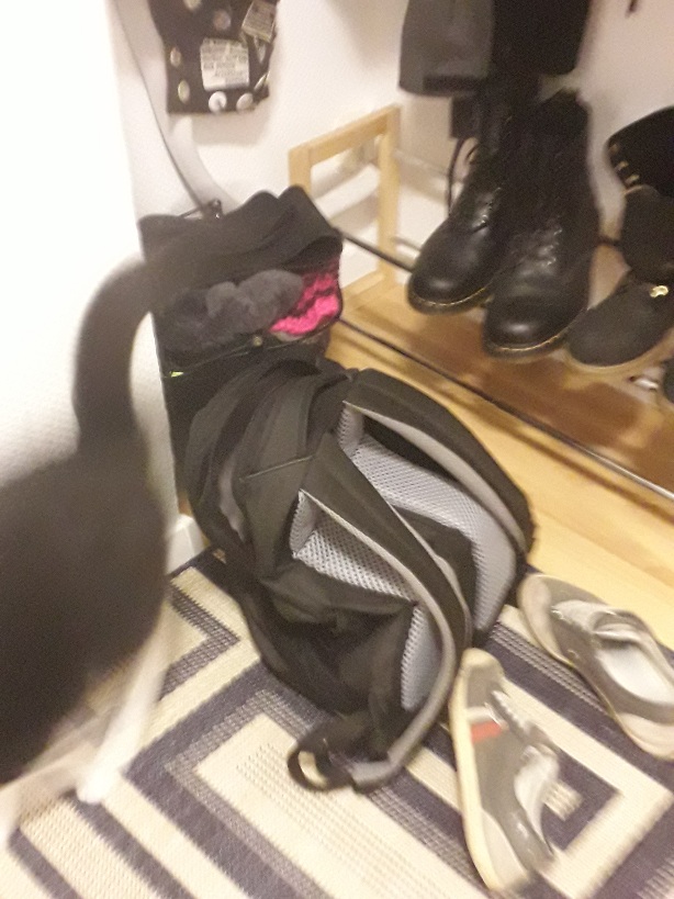 20210901_202601.jpg