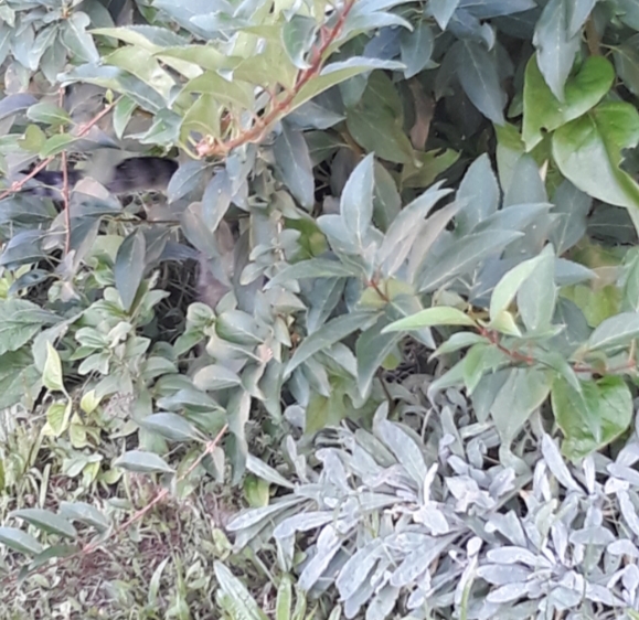 20210904_090129.jpg
