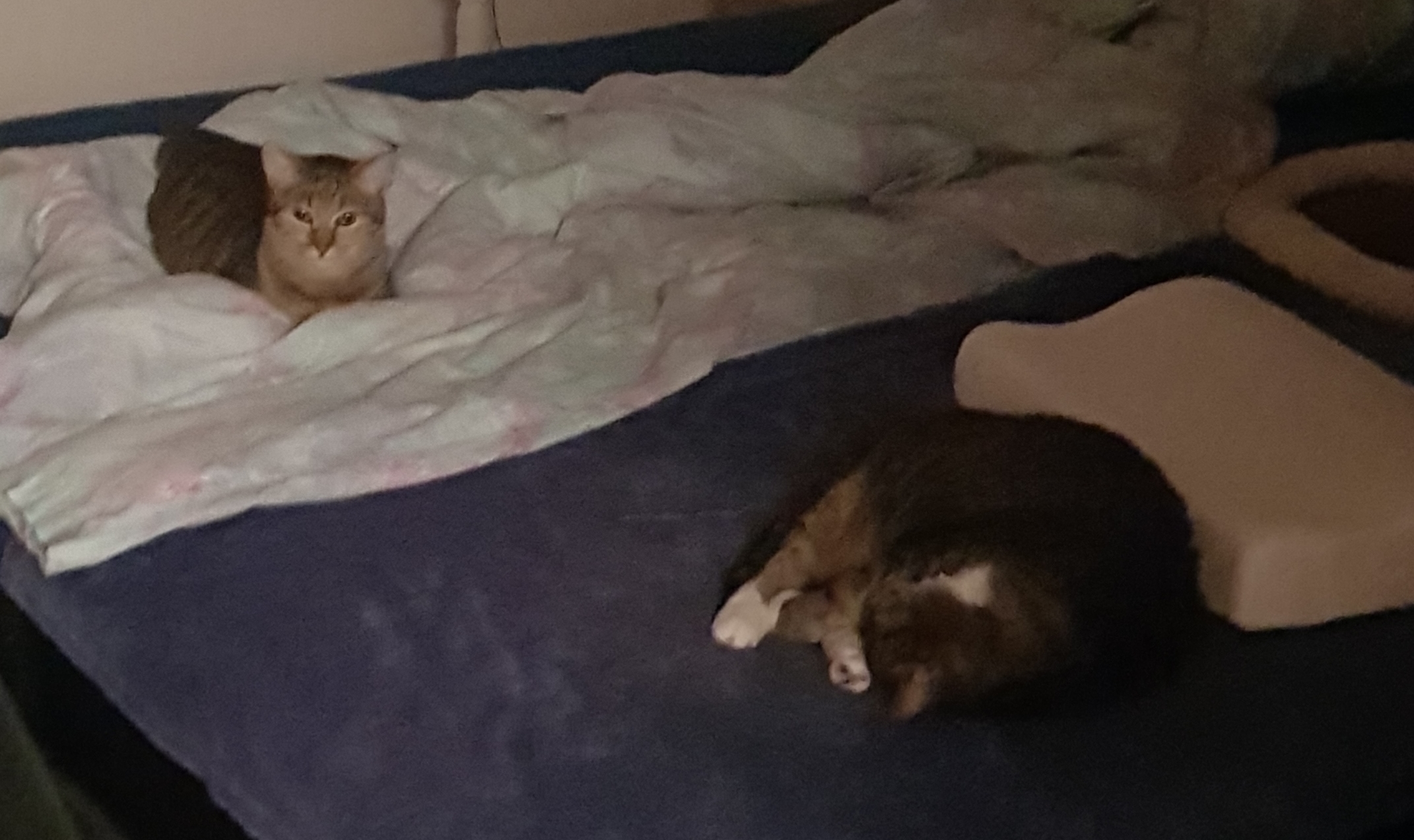 20210917_221842.jpg