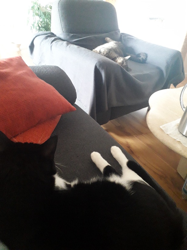 20210919_132907.jpg