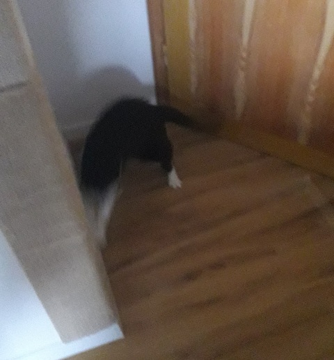 20210921_174723.jpg