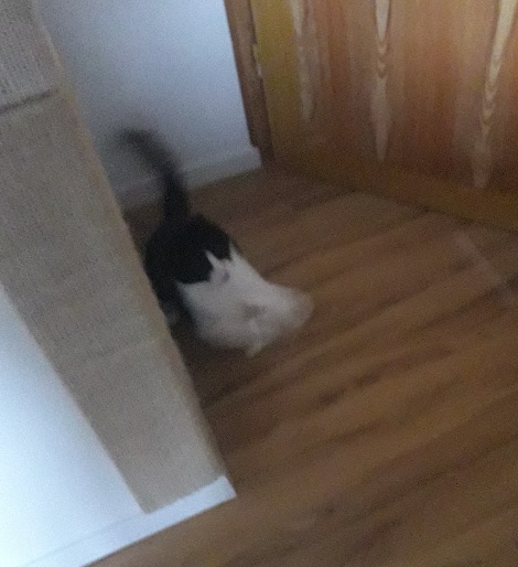 20210921_174738.jpg