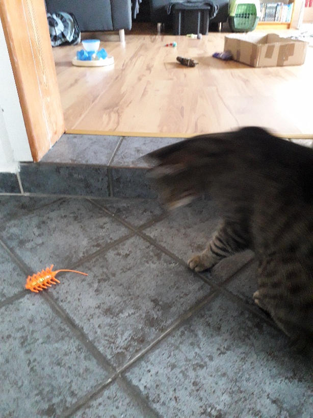 20210923_172932.jpg