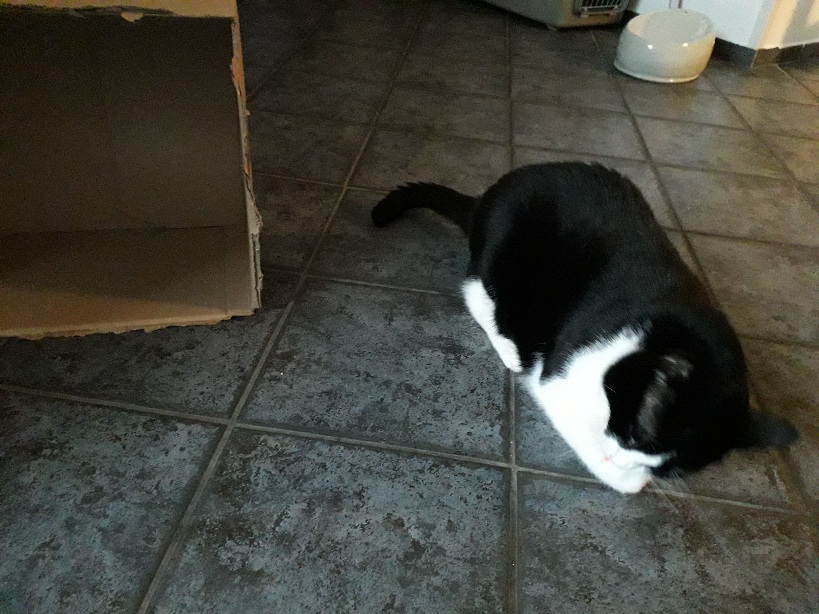 20210923_174125.jpg