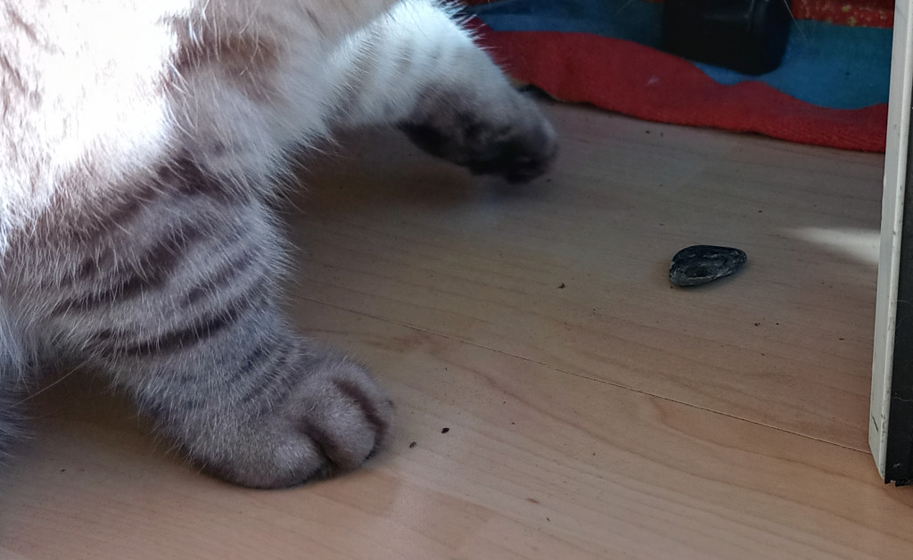 20211021_145134_HDR.jpg