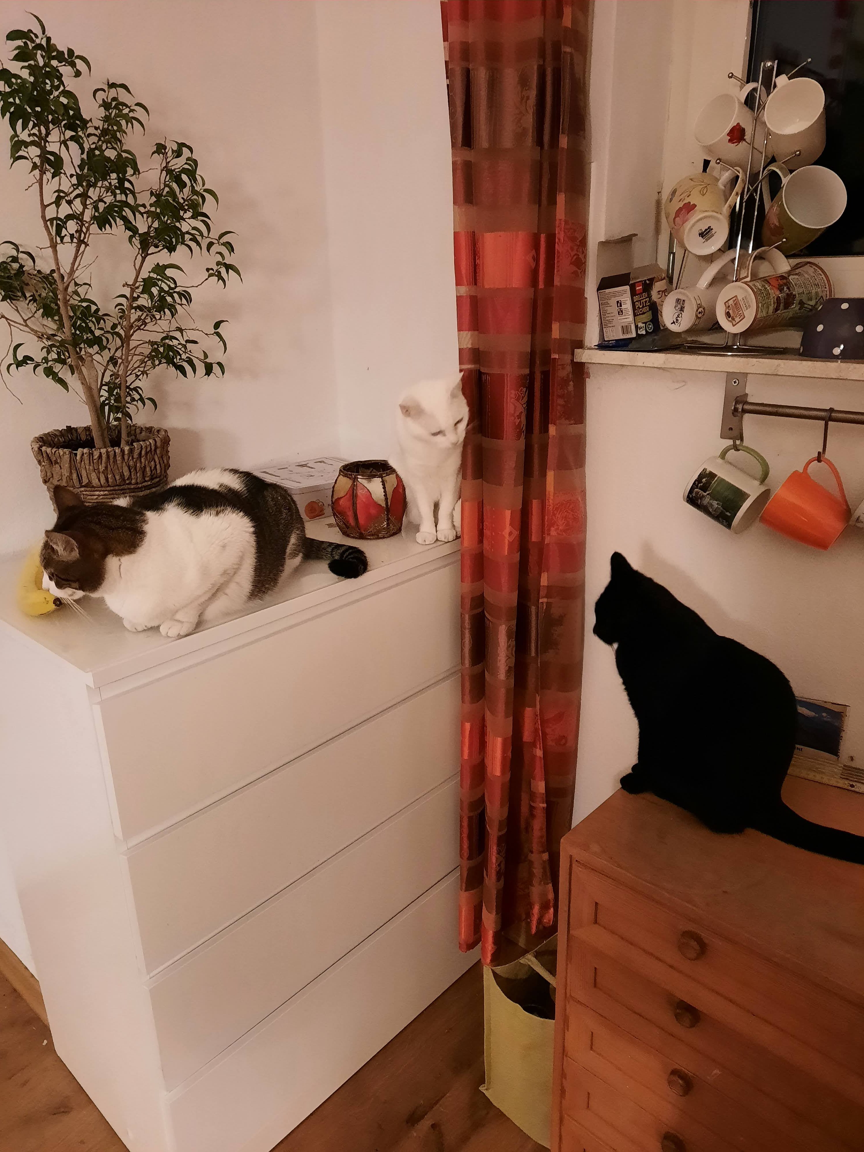 20211121_180755.jpg