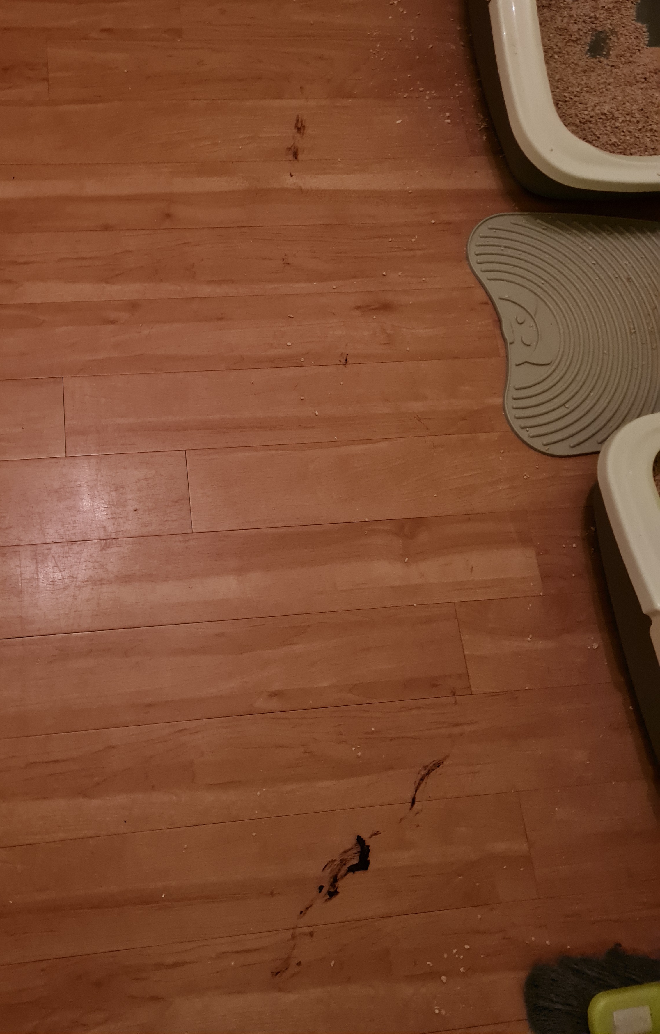 20211203_171051.jpg