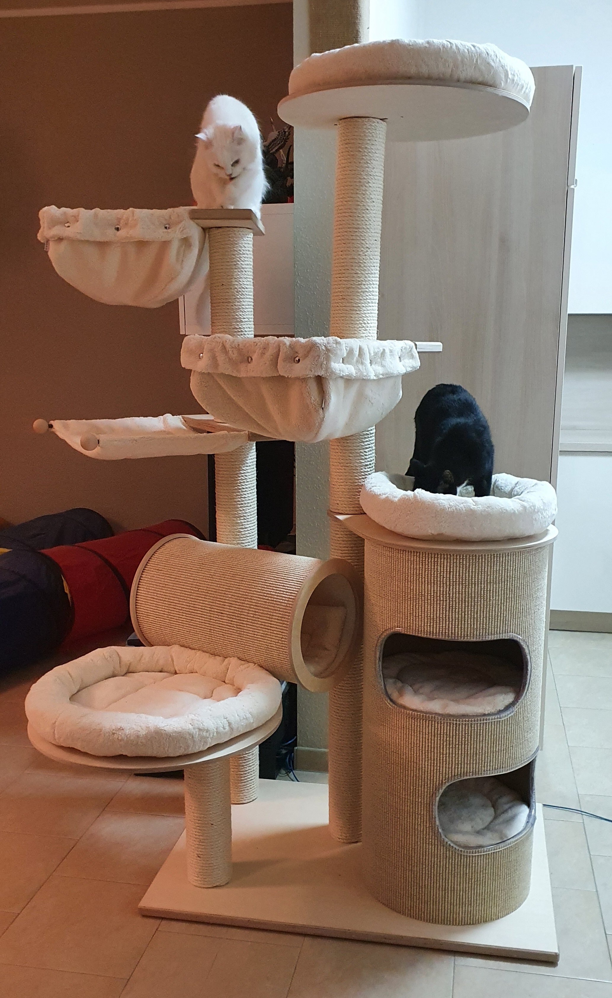 20220124_162523.jpg
