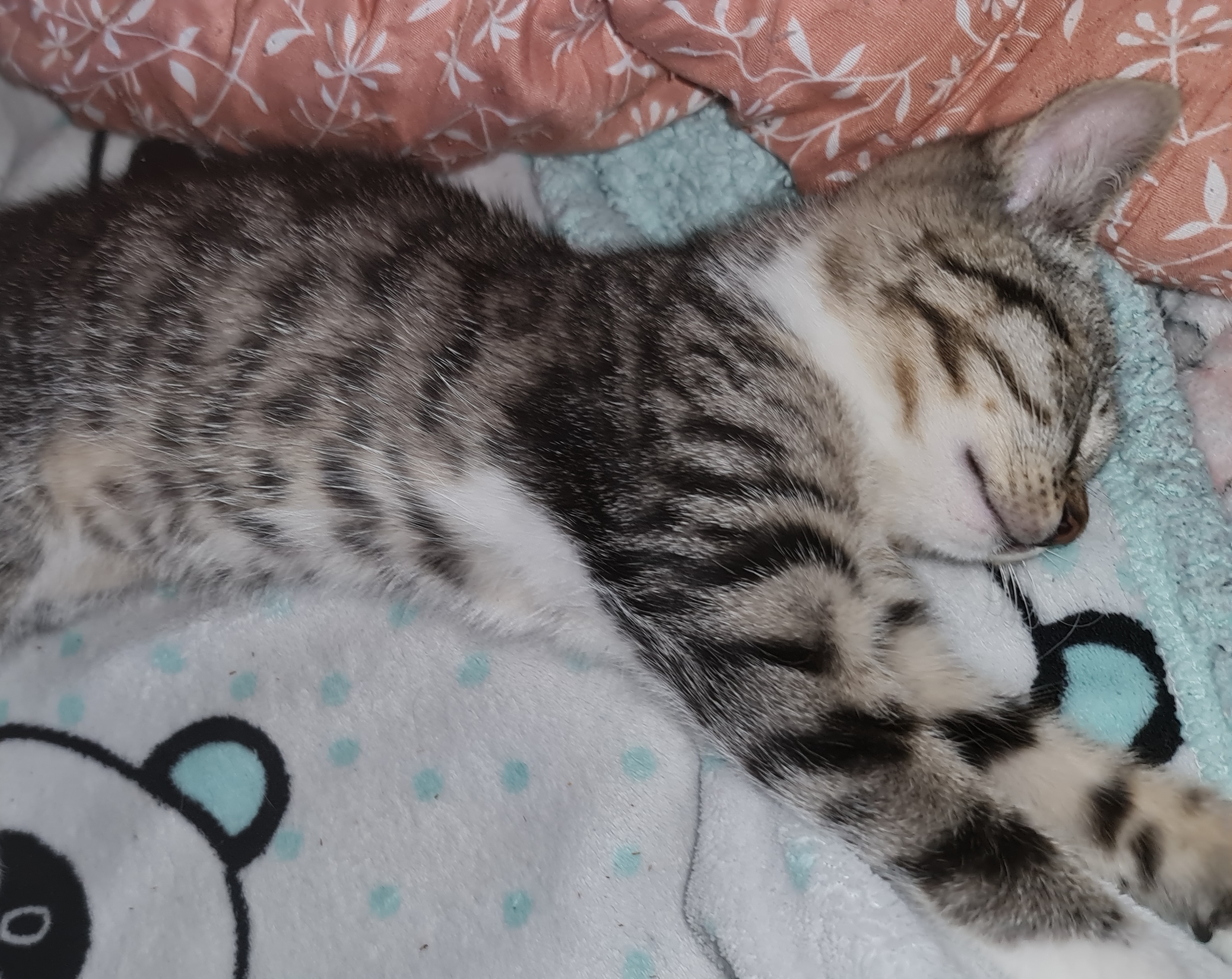 20220126_124039.jpg