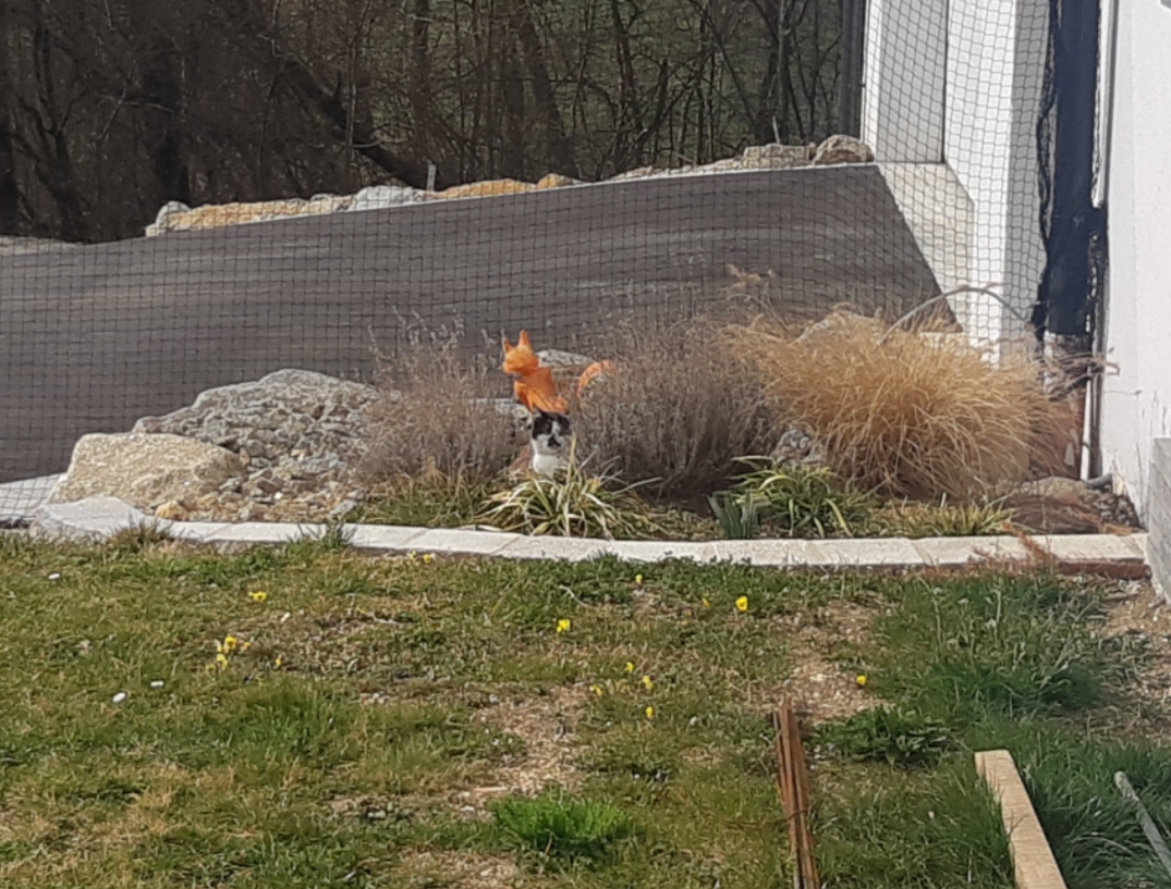 20220321_190400.jpg