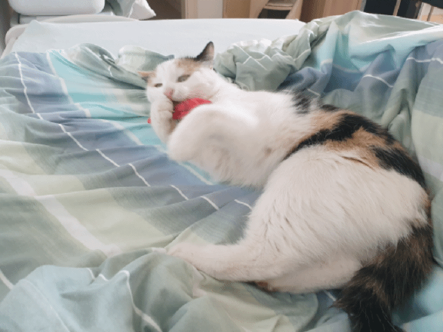 20220417_160658.gif