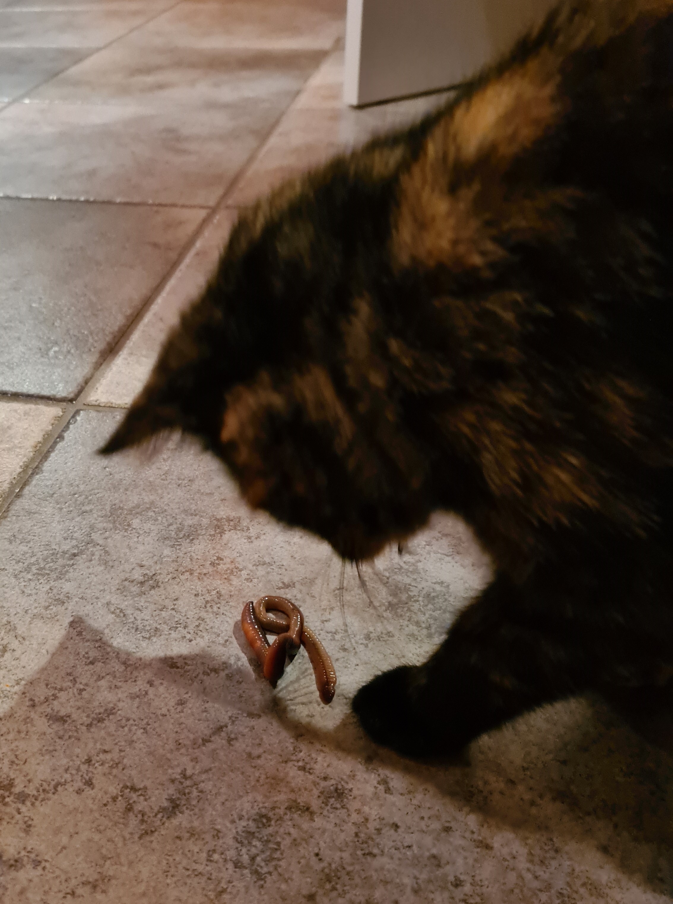 20220421_220105.jpg