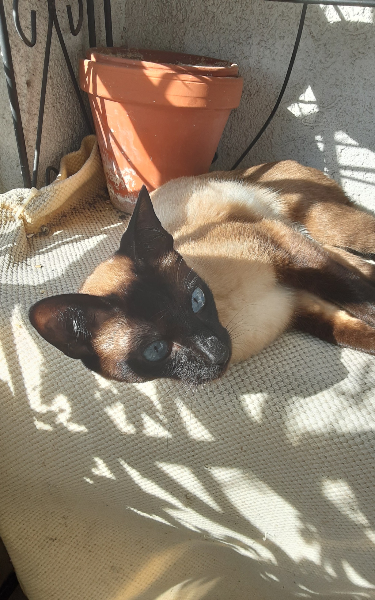 20220515_090312.jpg