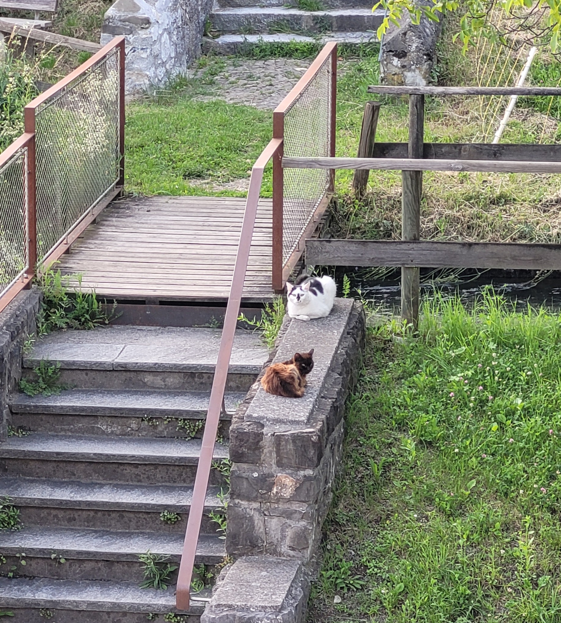20220614_201916.jpg
