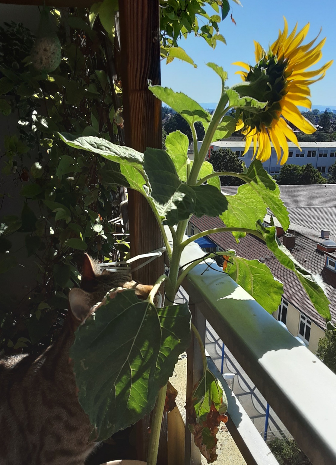 20220703_101035.jpg