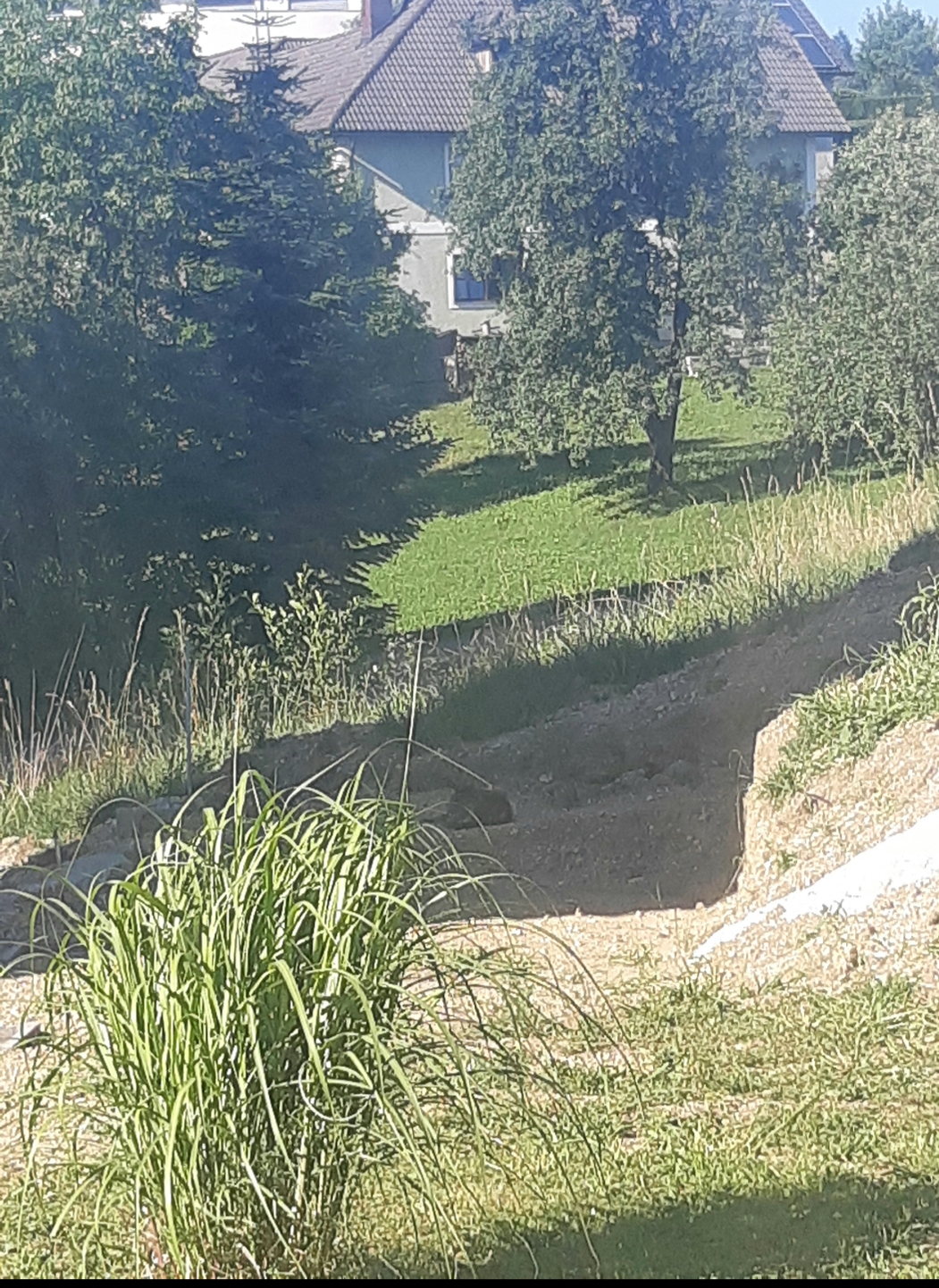 20220703_175925.jpg