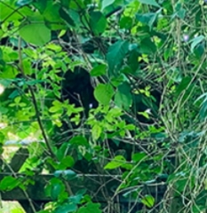 20220724_180747.jpg