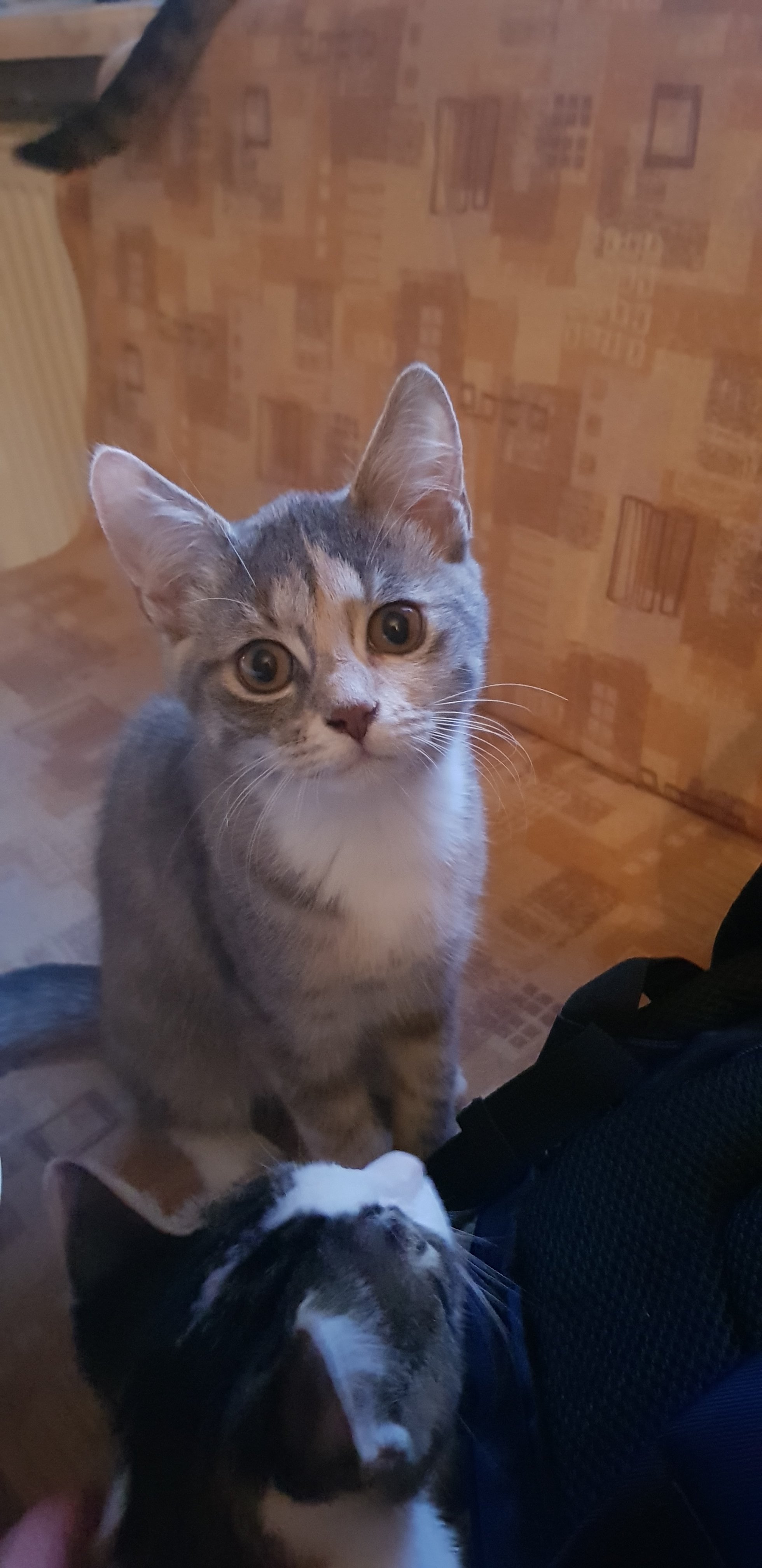 20220801_210310.jpg
