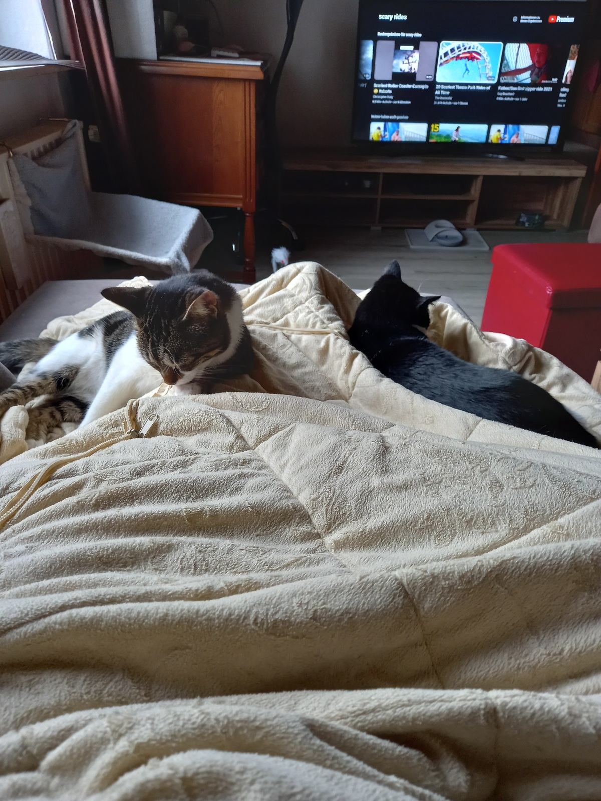 20221120_135654.jpg