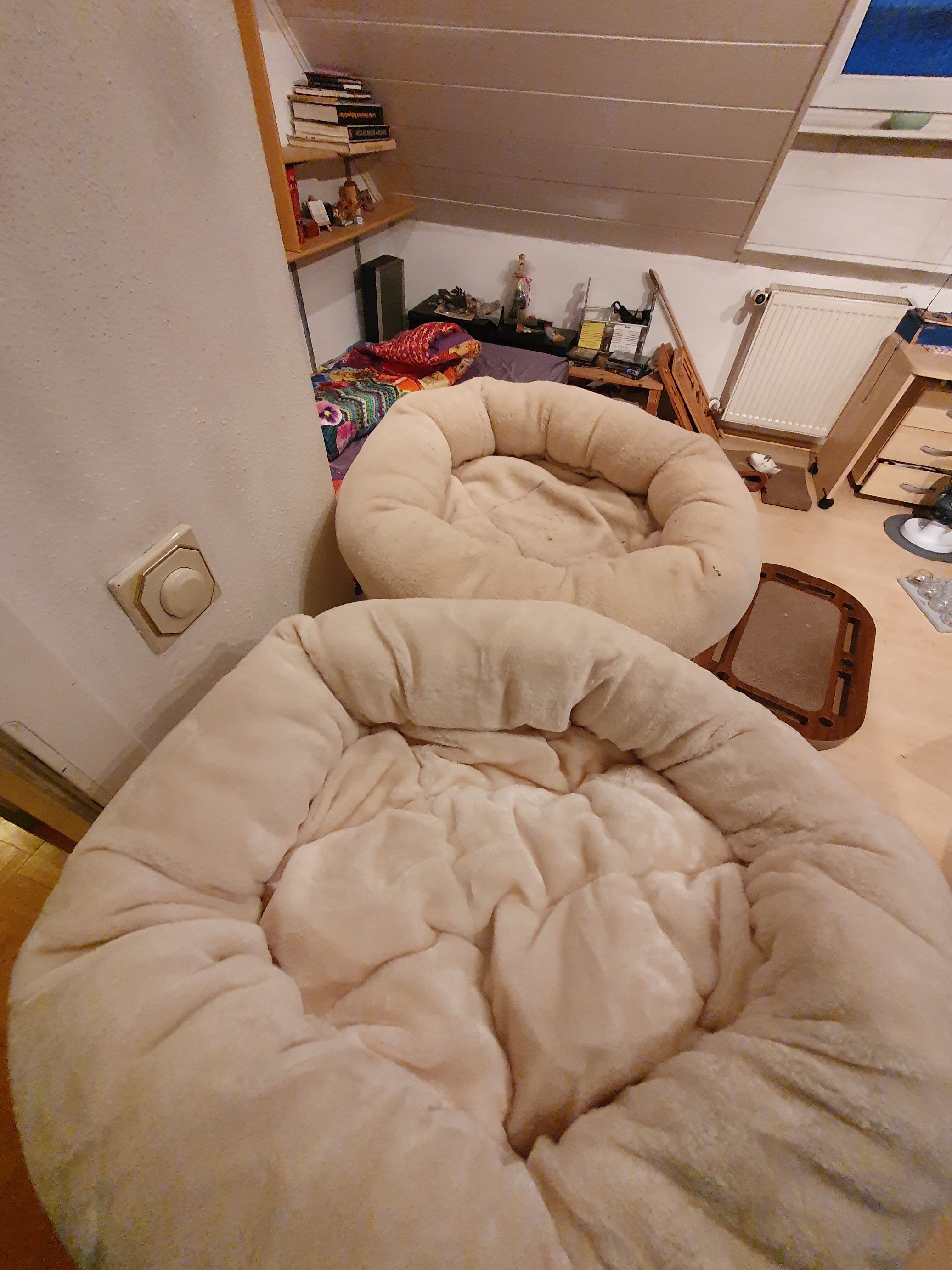 20230121_171437.jpg