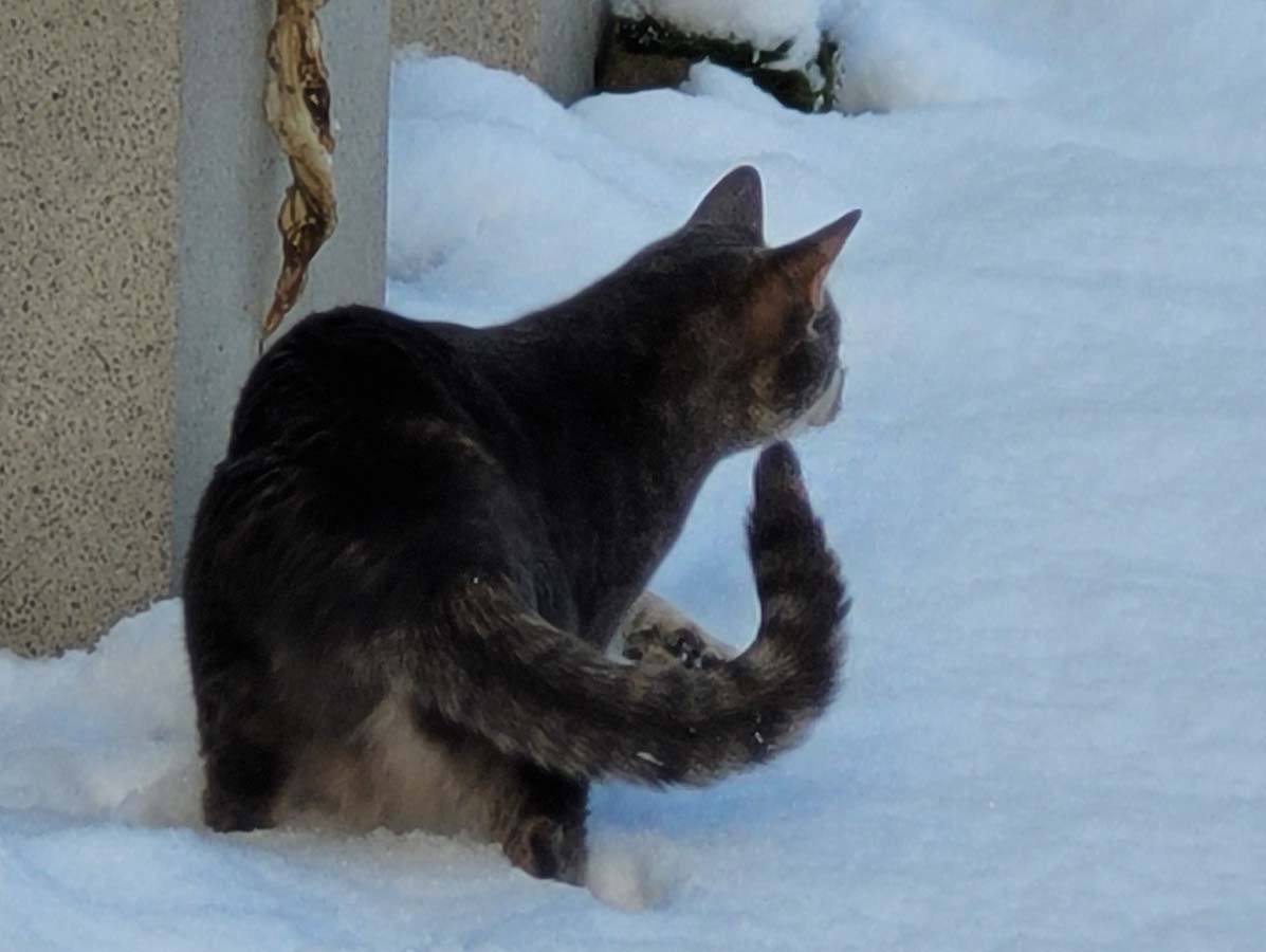 20230311_081614kl.jpg
