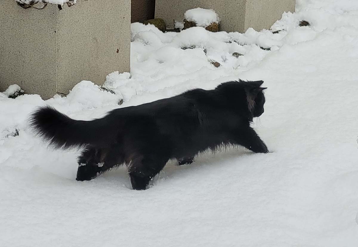 20230311_082735kl.jpg