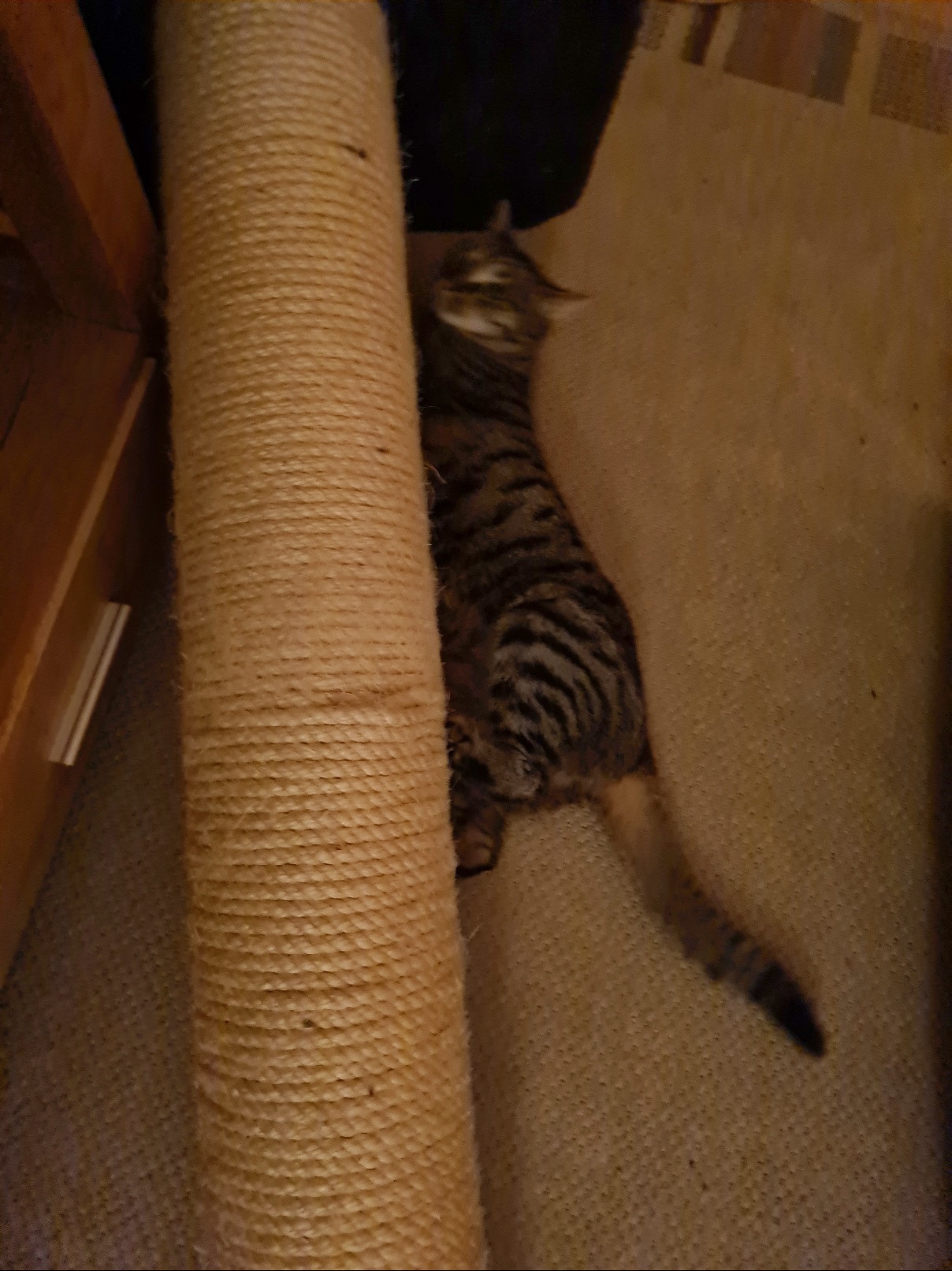 20230413_213746.jpg