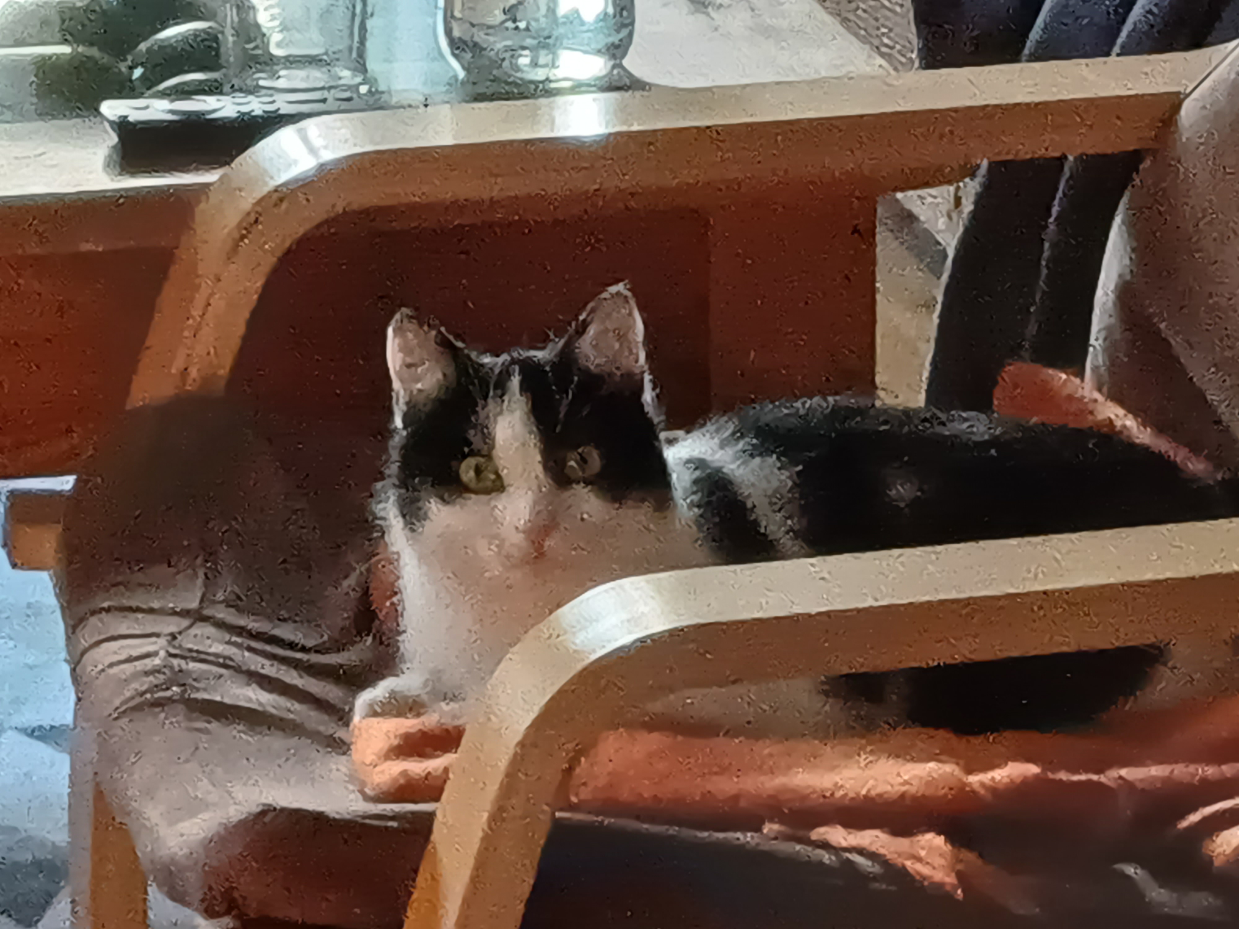 20230419_185837.jpg