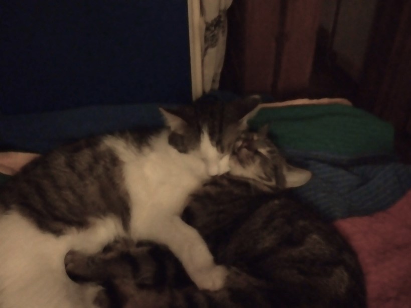 20230514_214725.jpg