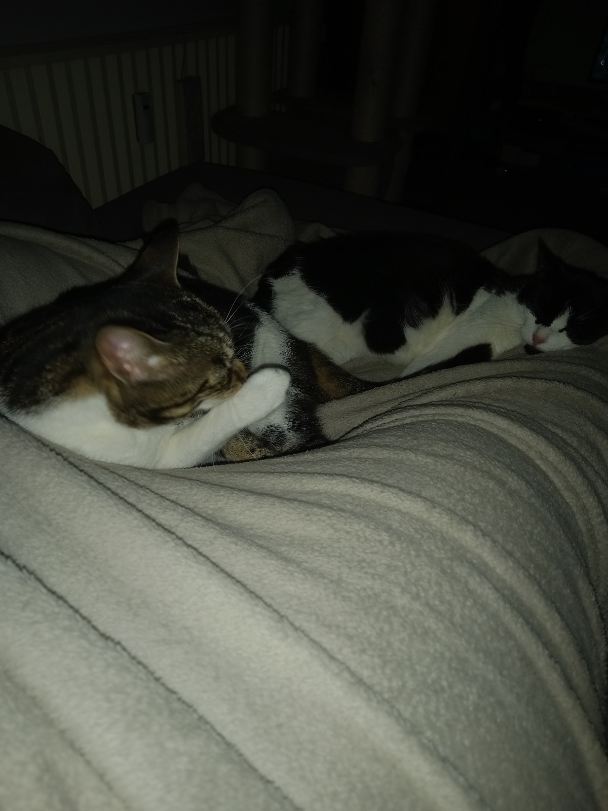 20230704_144801.jpg