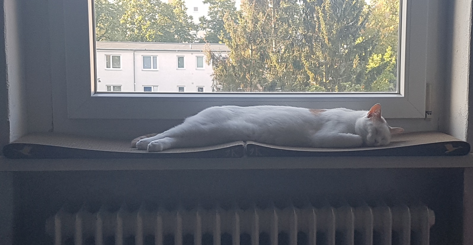 20230909_074422.jpg