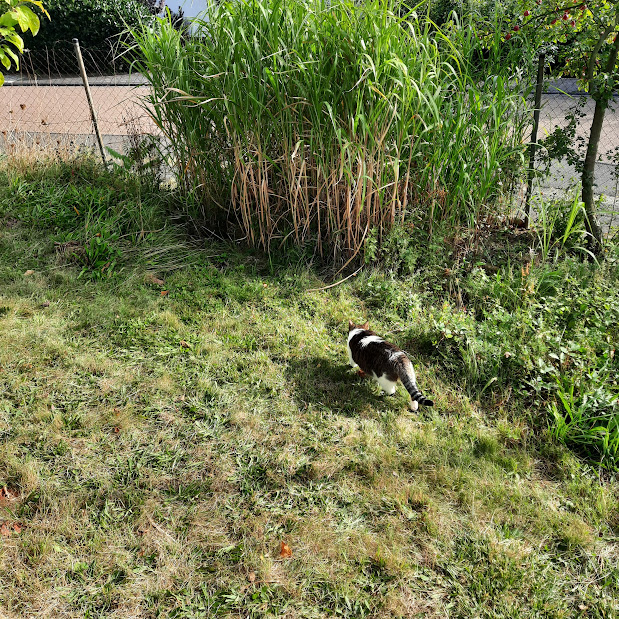 20231002_161059.jpg