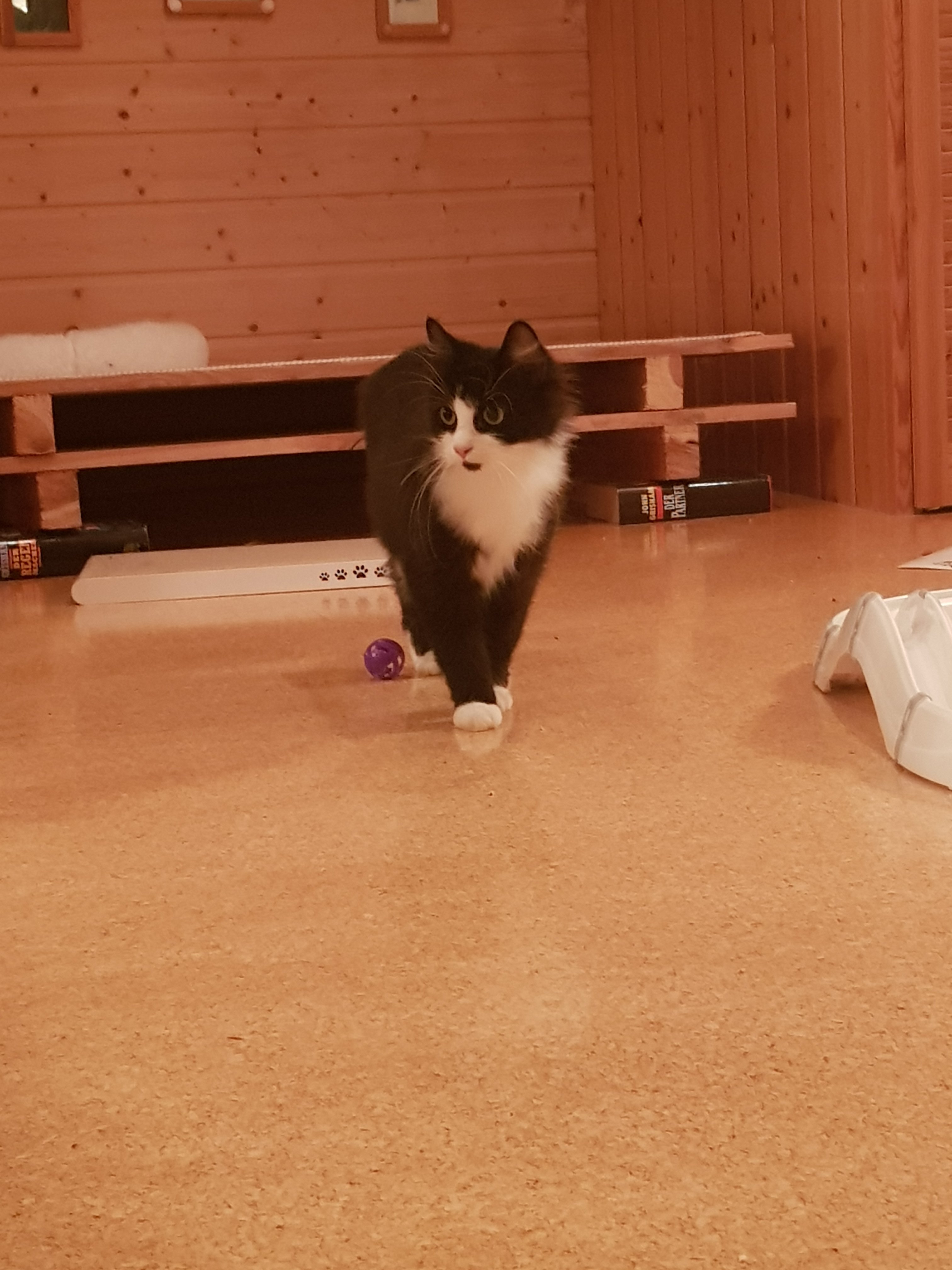 20231007_200041.jpg