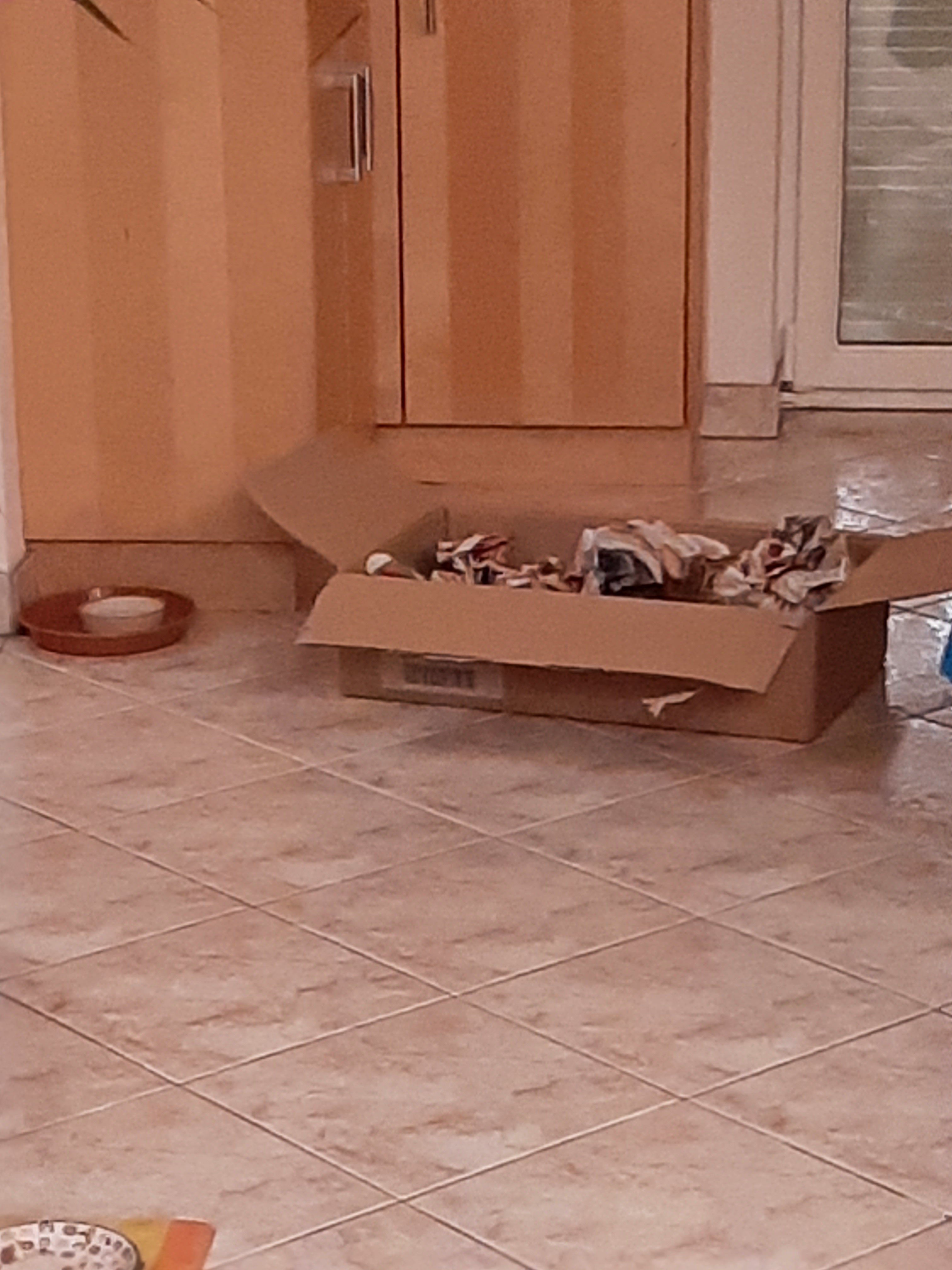 20231125_204220.jpg