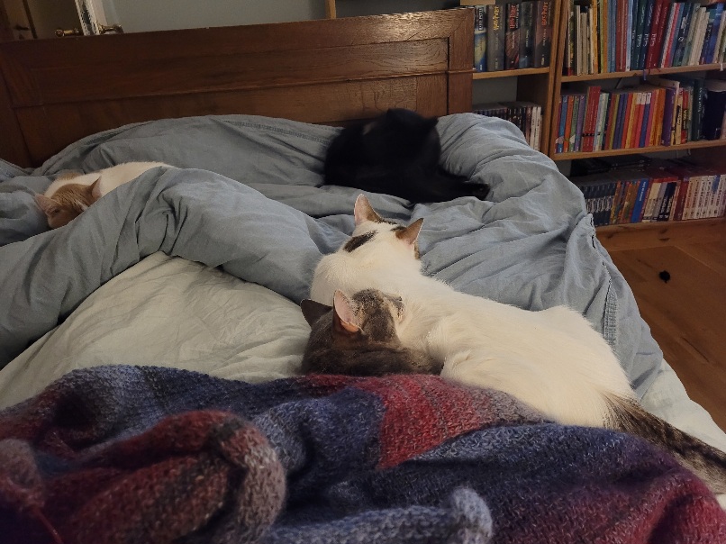 20231226_191754.jpg