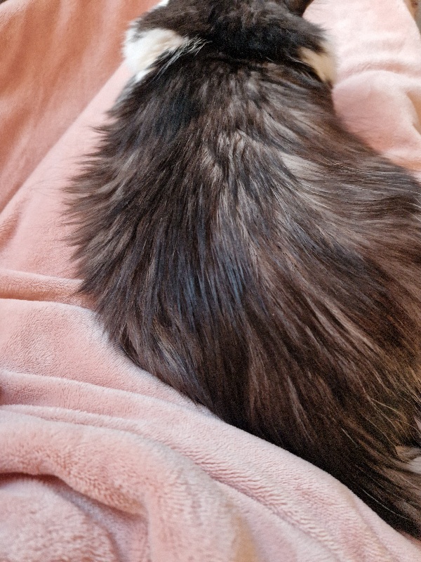 20240110_102411.jpg