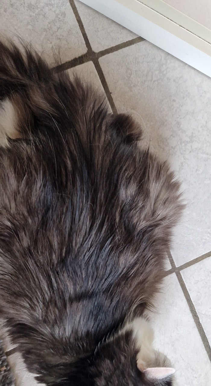 20240110_102842.jpg