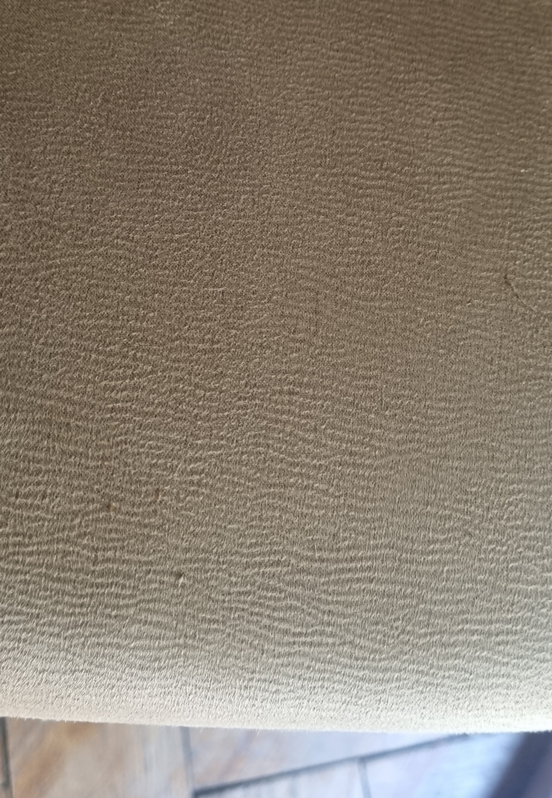 20240310_131846.jpg