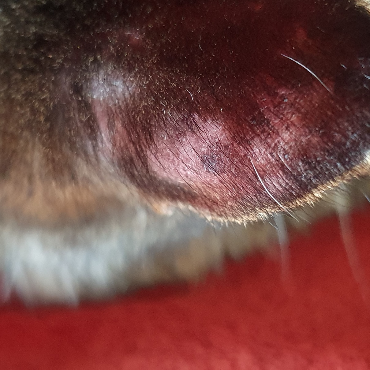 20240419_133240.jpg