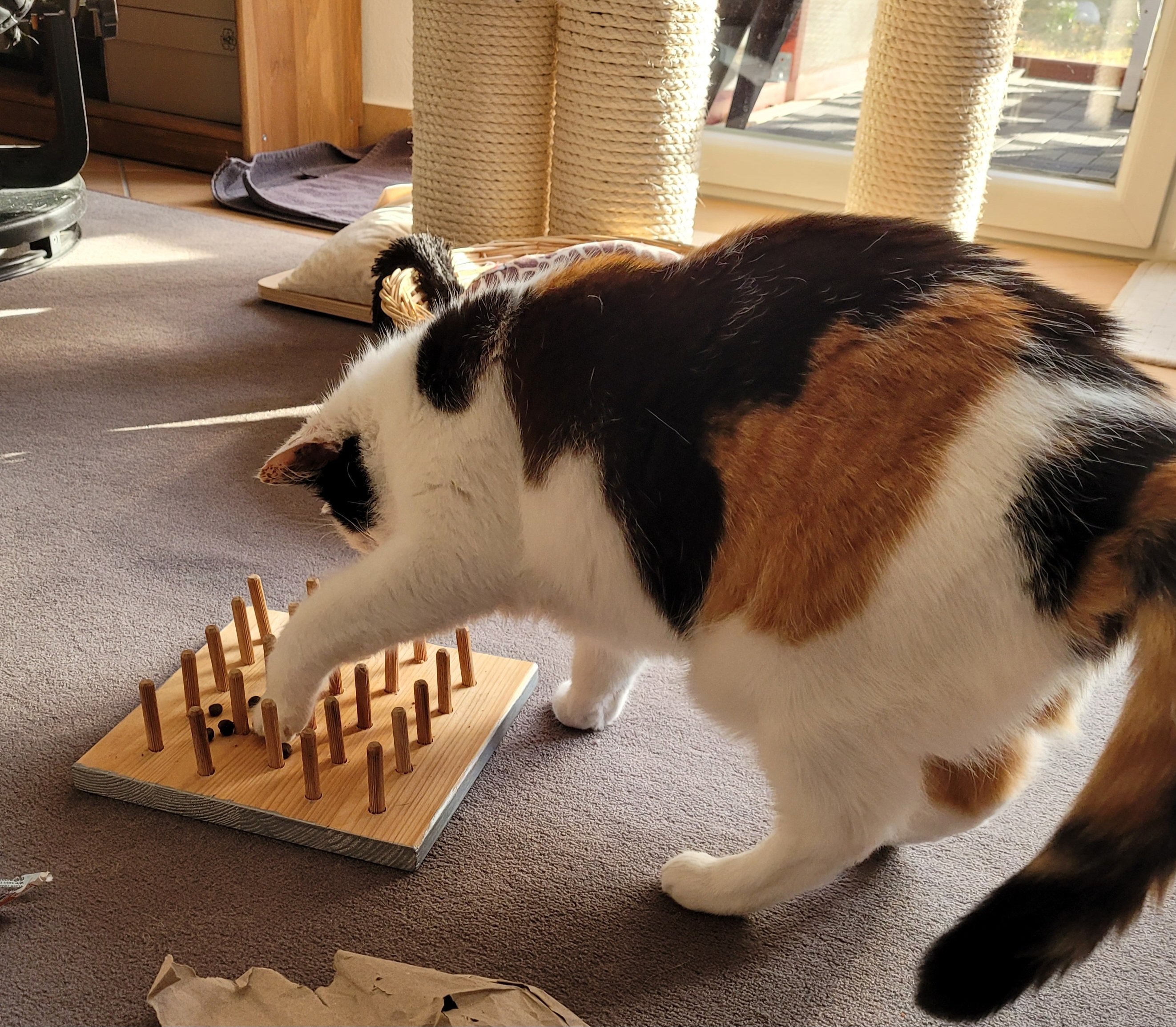 20250311_165114.jpg