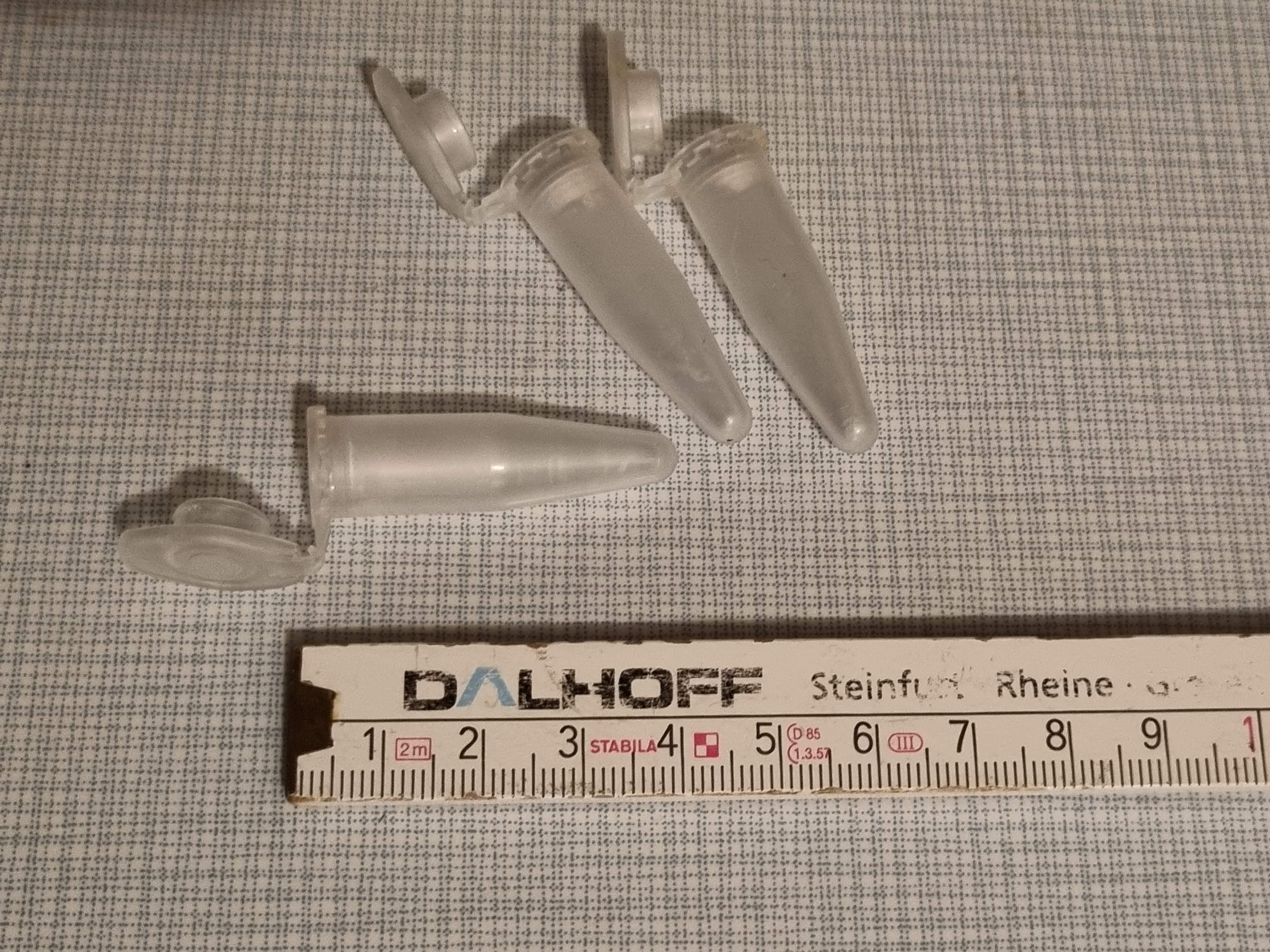 20250425_011425.jpg
