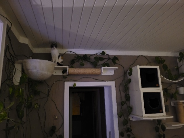 20250524_230203.jpg