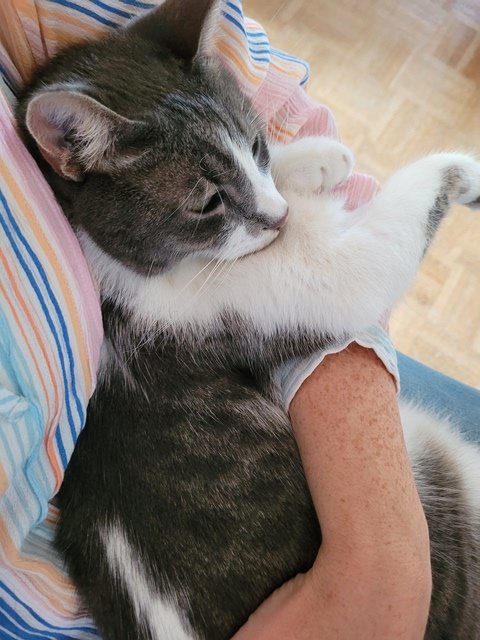 20250901_145108.jpg